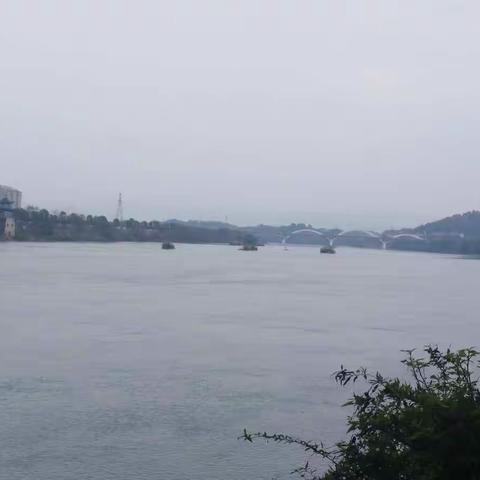 我们湖南永州零陵的风景会越来越美。