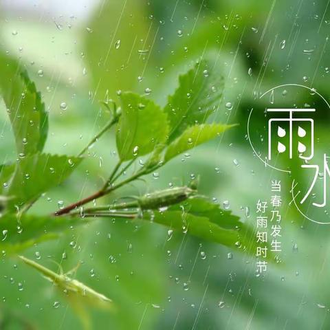 「雨润万物 春风送暖」——祁县东观镇第一中心幼儿园雨水节气温馨提示