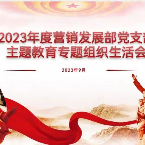 2023年度营销发展部党支部主题教育专题组织生活会简讯