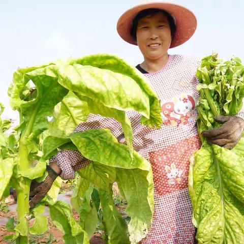 陕州分公司