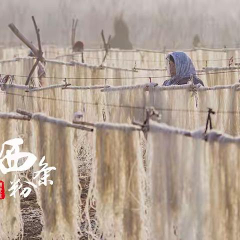 晒粉条正当时