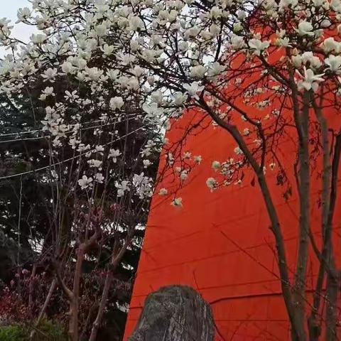 毕业啦 2022届九年级七班