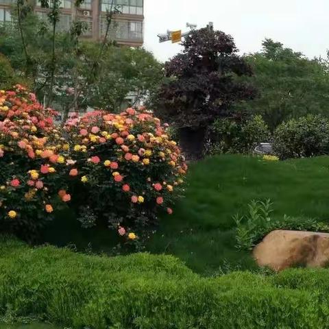 毕业啦!    2022届九年级八班