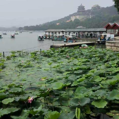 记忆，一段美好的旅行……