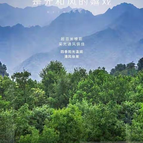 系列单P图片参考【观山院子】