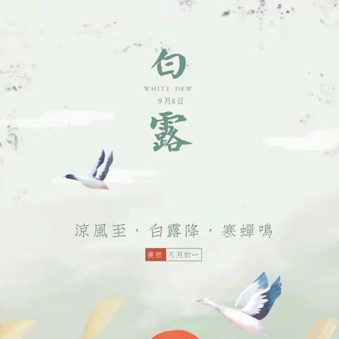 【和乐·课程】凉风有信，白露为霜——广饶兵圣路幼儿园白露节气系列活动