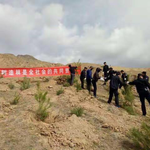 又是一年春光好·全民植树保生态