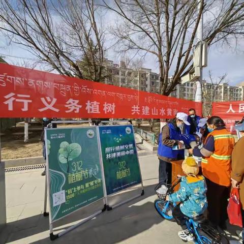 加强义务植树宣传 倡导爱绿植绿理念