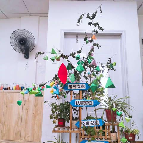 中二班，激情夏日～端午粽叶香