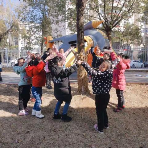 大二班12月蒙氏活动《我与自然有个约会》