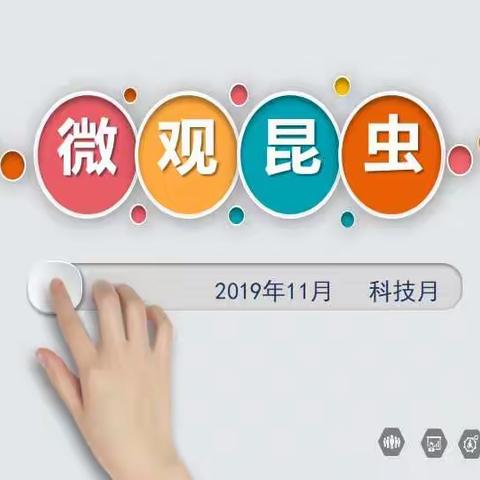 “小手画科学，巧书其中理”——建大附小2019年科技月活动四年级作品展