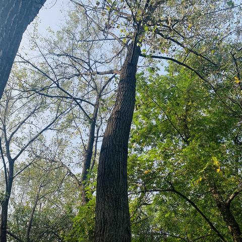 一（13班）雄鹰🦅中队的快乐秋游记