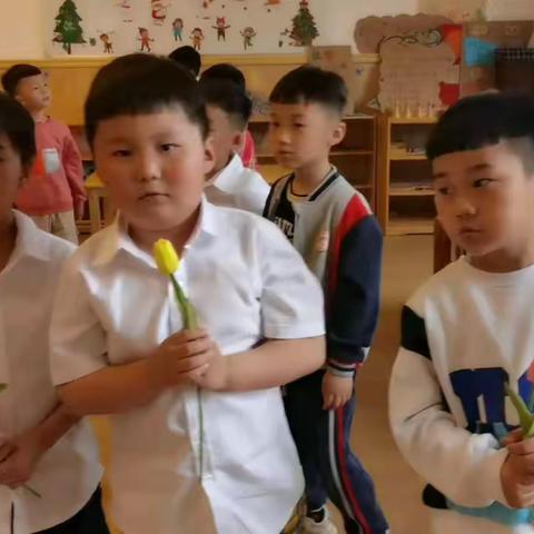 【直映宝宝幼儿园】大三班周报