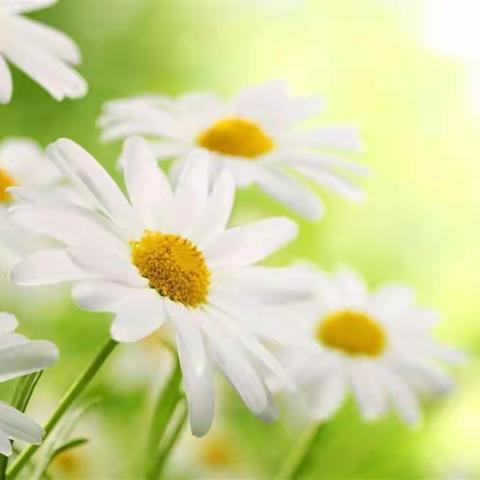 妈妈，我想你。