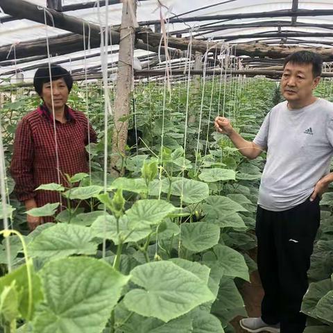 坦埠镇第一书记驻村工作动态第十五期（8.22-8.28）
