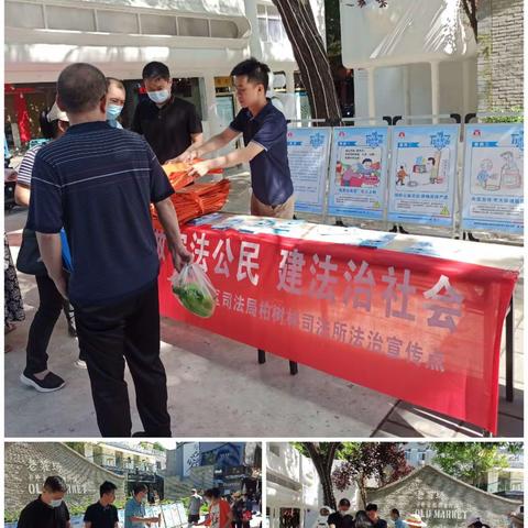 法治新征程 献礼二十大——柏树林司法所开展普法宣传活动
