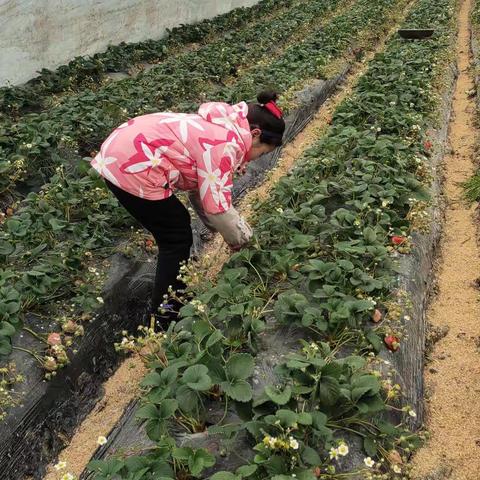 郭一诺的寒假生活