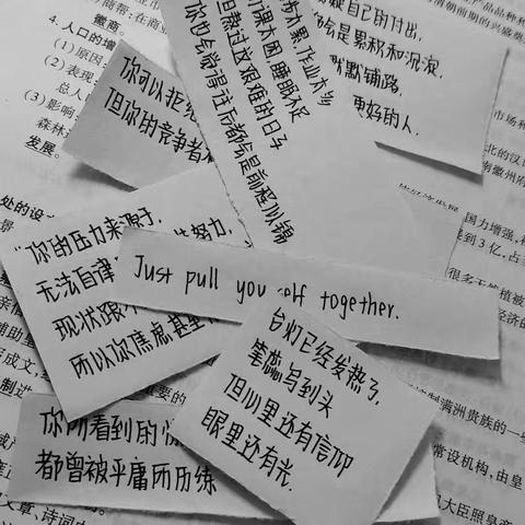 走向中考