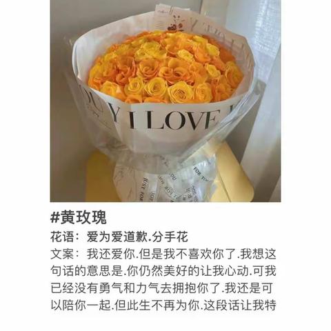 爱的道歉