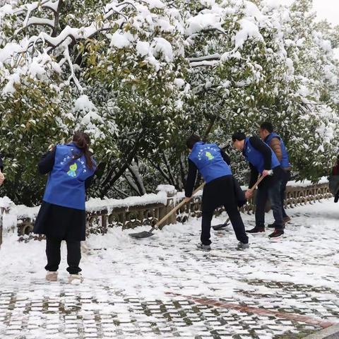 破冰铲雪保畅通 中南水科在行动！