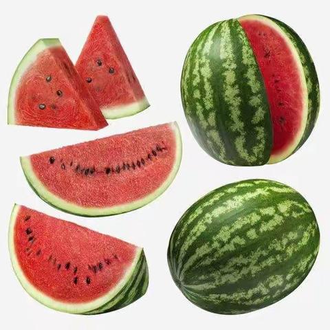 【挑西瓜🍉】  金堤路小学  五（1）班  宋浩然