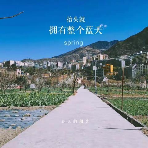 特殊的课堂，别样的成长