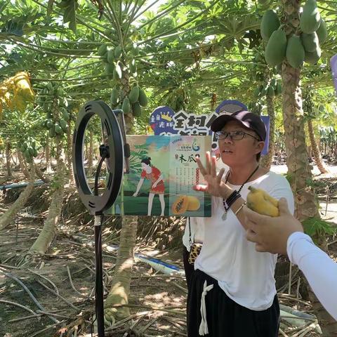 “利用电商平台，销售本地特色，建立可持续发展的农村商业模式！”——陵水电商助力乡村振兴主题培训