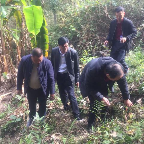 泉州市老促会到德化县霞山老区村帮扶项目检查验收