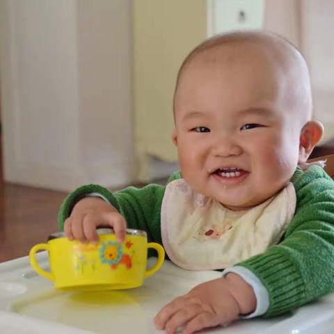 轩宝宝成长纪事（11个月）