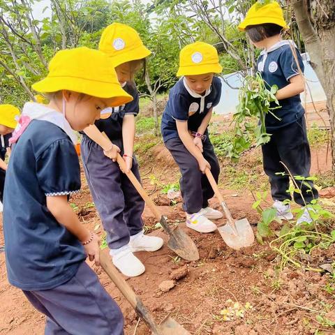 我们一日生活记录📝
