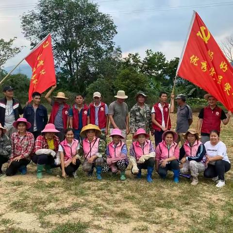 文明实践，一路畅行|畅好乡四月份新时代文明实践活动集锦