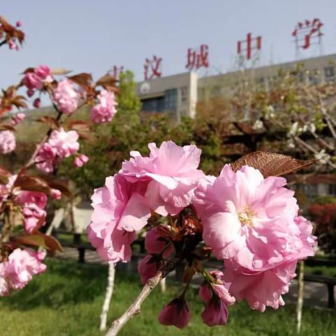 山东省教育厅二级巡视员荆戈等领导一行到汶城中学视察