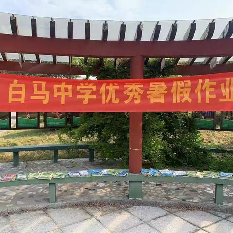 不负暑假好时光——白马寺镇初级中学优秀作业展