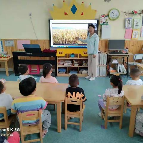 亲自然活动—割麦子