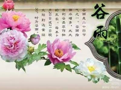 “雨生百谷，时至暮春”——郭杜街道中心幼儿园二十四节气活动之谷雨