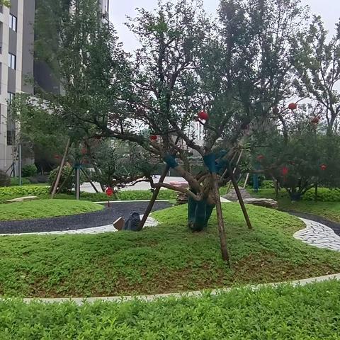 东方红梅溪枫林小区分享篇