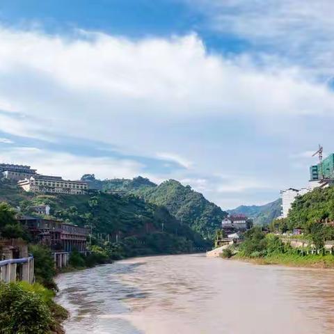 名杯匠心【善酿】