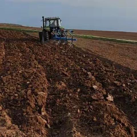 春耕时节种“药”忙