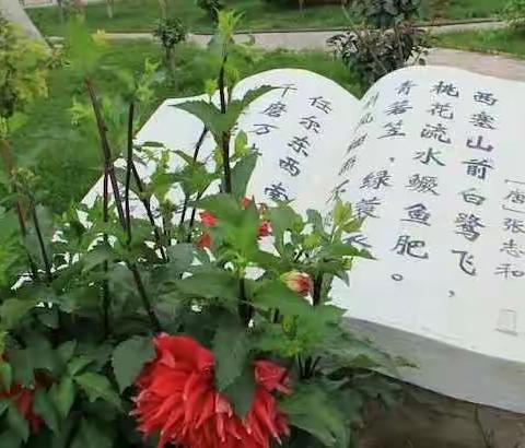 营造激情朗读氛围，努力提高学习效率——金安苑学校早读研讨会侧记