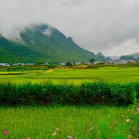 万峰林，高原上的心跳（2）————阴雨中，骑行在山下观光道上……