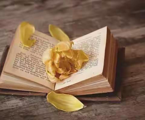 读书，是通往成功最容易的一条路！