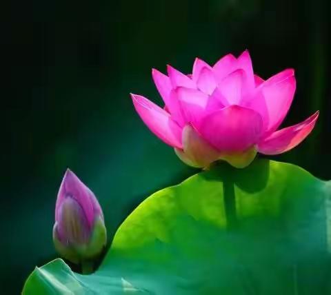 自律与否，决定一个人的一生