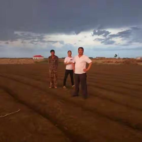 健原伟业领导在基地育苗