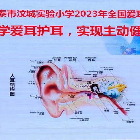 【全环境立德树人】科学爱耳护耳，实现主动健康——新泰市汶城实验小学开展“全国爱耳日”活动