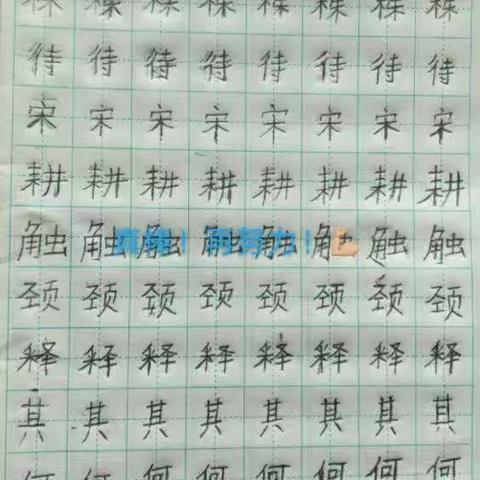 丁陈小学三年级优秀作业展