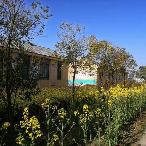 丁陈小学利用网络开展疫情防控知识培训活动