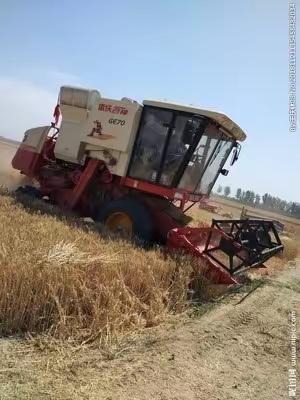 三夏收获季，惠农供给忙