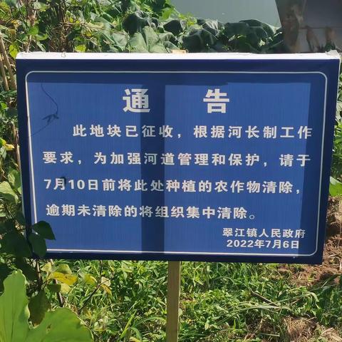 整治河道菜地 还原水清岸美