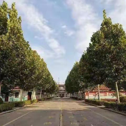 曼山小学 杨廷伟教学反思