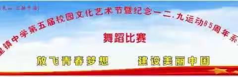 “追逐梦想 轻舞飞扬”二里镇中学第五届校园文化艺术节暨纪念一二•九运动85周年系列活动之舞蹈大赛成功举办